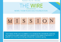The Wite Newsletter - Fall 2022
