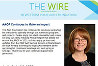 The Wire Newsletter - 2021 Year in Review